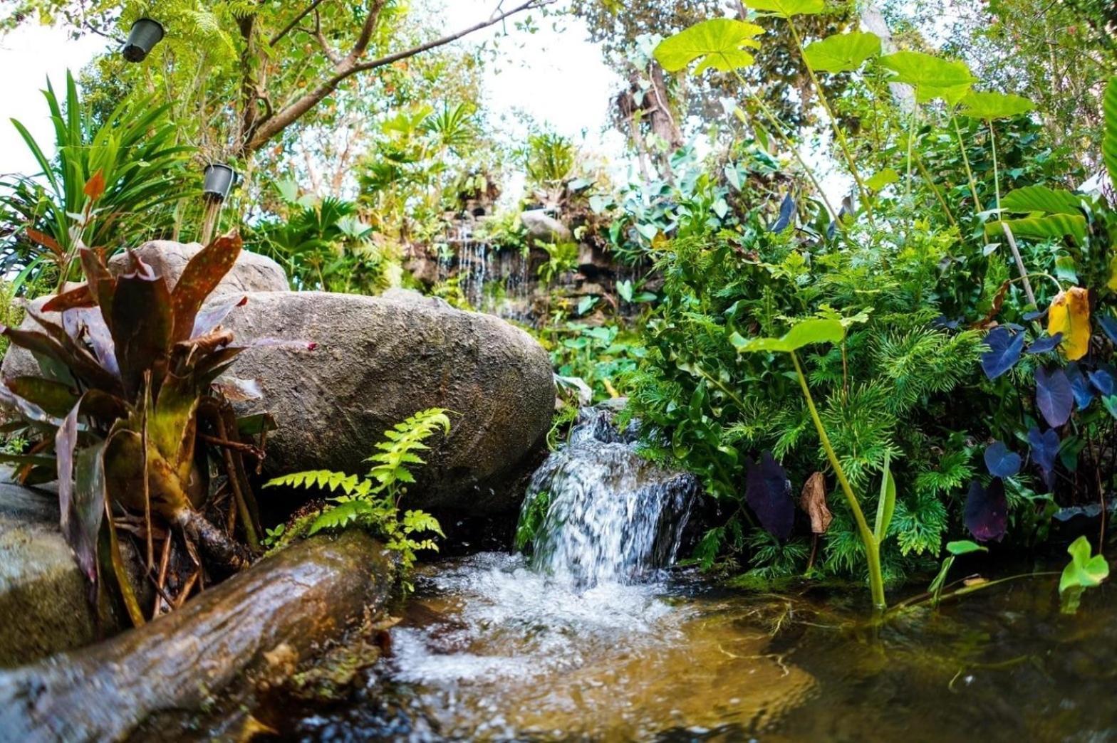 Baan Pingkan Wellness Resort San Kamphaeng Εξωτερικό φωτογραφία