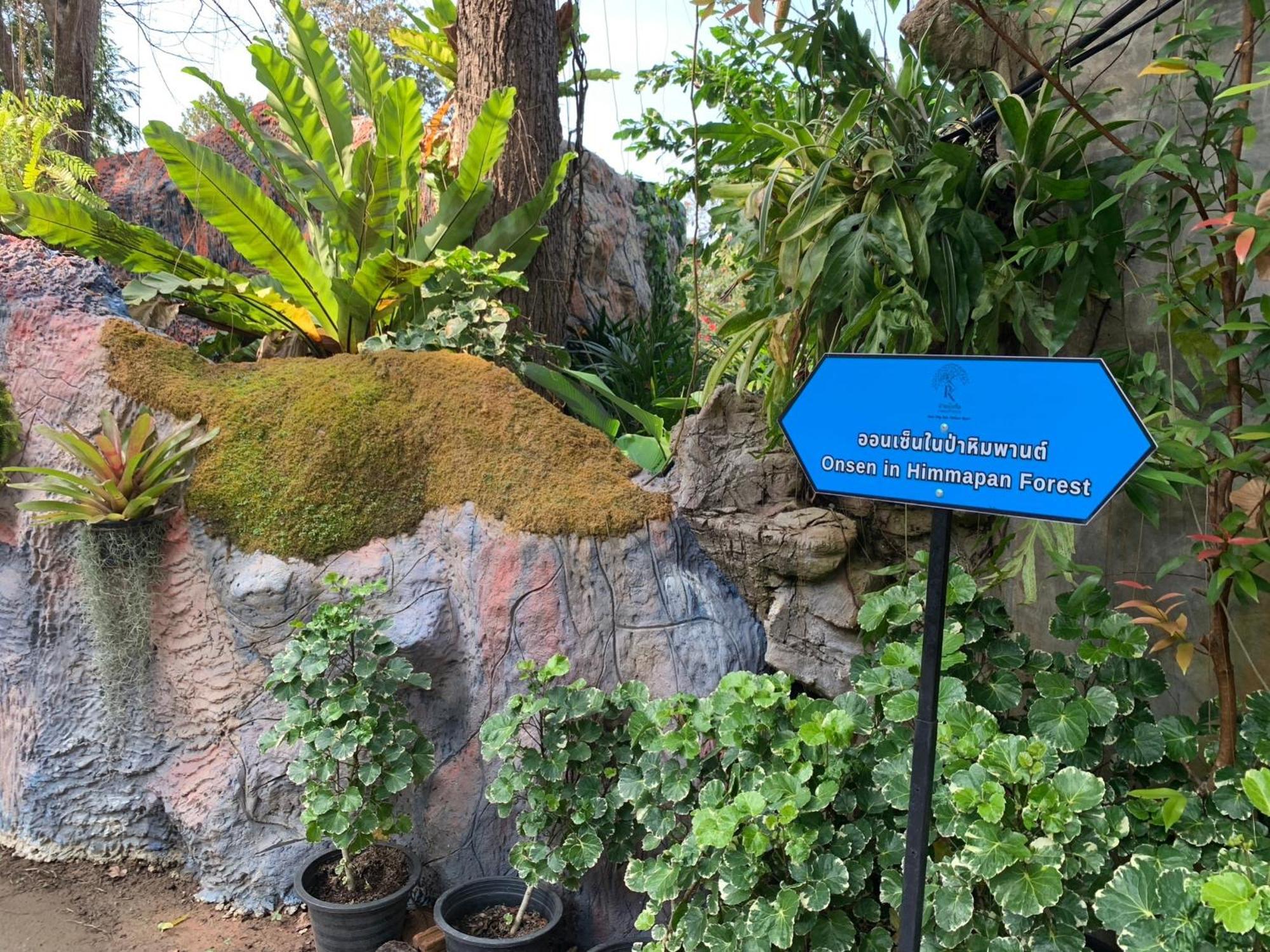 Baan Pingkan Wellness Resort San Kamphaeng Εξωτερικό φωτογραφία