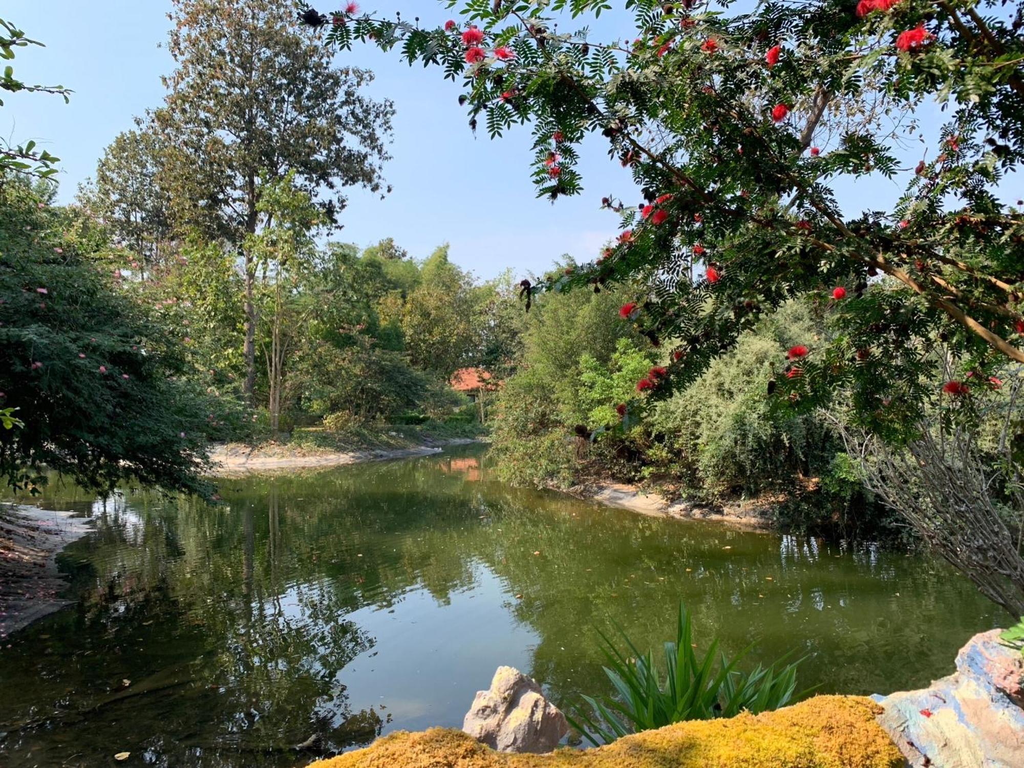 Baan Pingkan Wellness Resort San Kamphaeng Εξωτερικό φωτογραφία